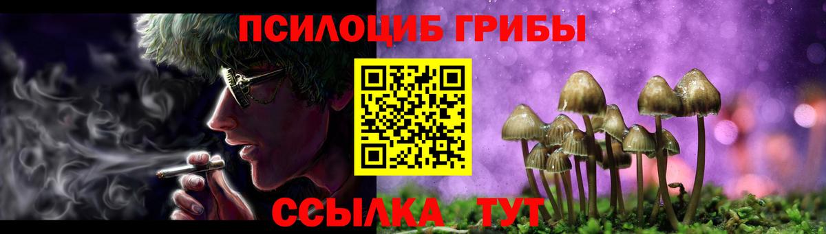 купить наркотики сайты  Вход с VPN  Елец  Галлюциногенные грибы мицелий 